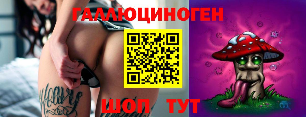 Галлюциногенные грибы прущие грибы  Галлюциногенные грибы GOLDEN TEACHER  купить наркоту  Гай  Вход с VPN 